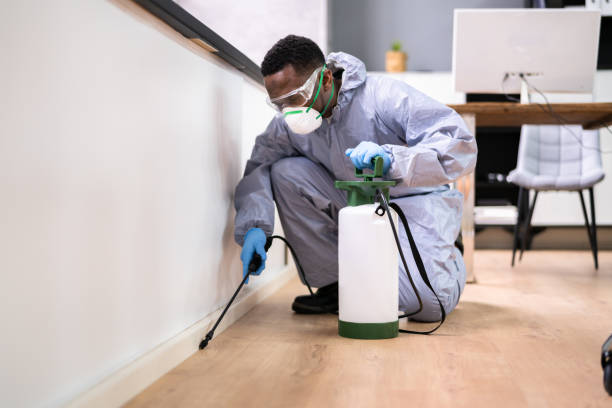 Professional Pest Control in Williamston, SC